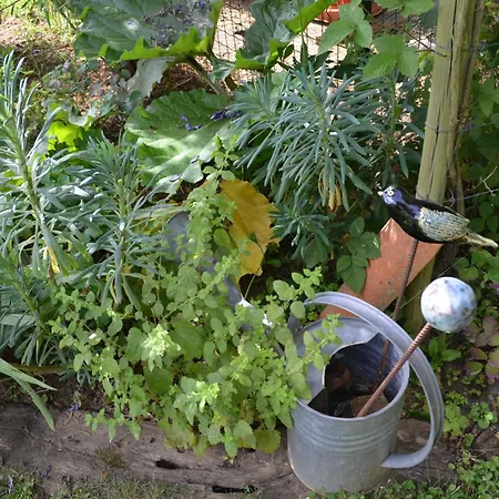 Frühstückspension D'hotes 3*