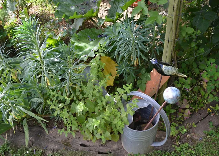 Nocleg ze śniadaniem D'hotes 3*